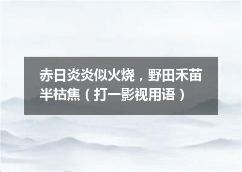 赤日炎炎似火烧，野田禾苗半枯焦（打一影视用语）