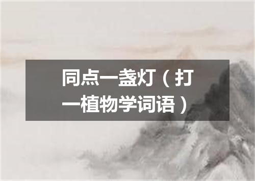 同点一盏灯（打一植物学词语）