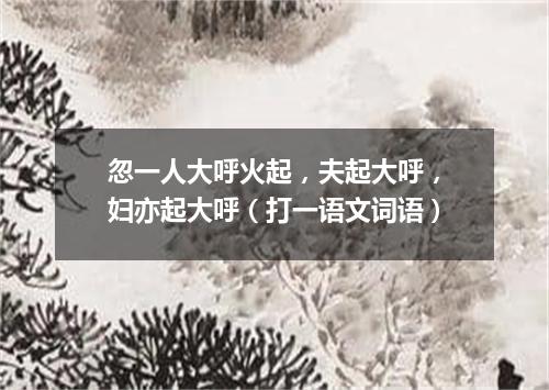 忽一人大呼火起，夫起大呼，妇亦起大呼（打一语文词语）