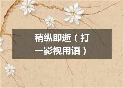 稍纵即逝（打一影视用语）