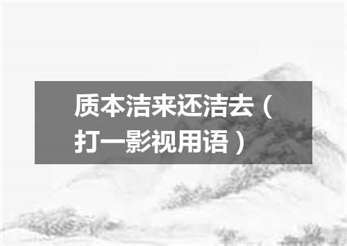 质本洁来还洁去（打一影视用语）