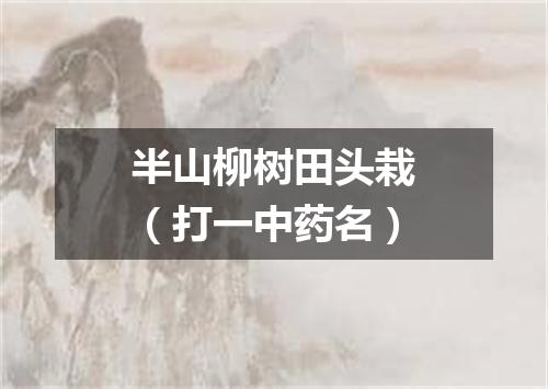 半山柳树田头栽（打一中药名）