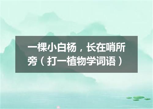 一棵小白杨，长在哨所旁（打一植物学词语）