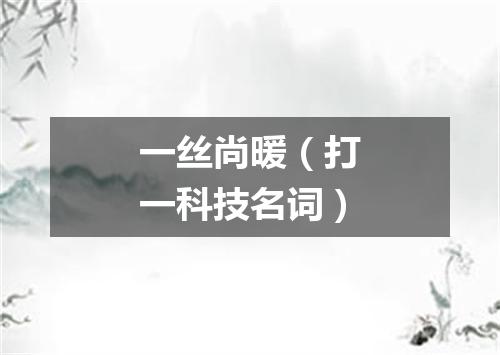 一丝尚暖（打一科技名词）