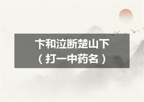 卞和泣断楚山下（打一中药名）