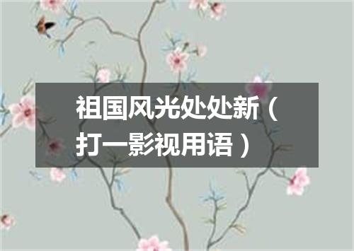 祖国风光处处新（打一影视用语）