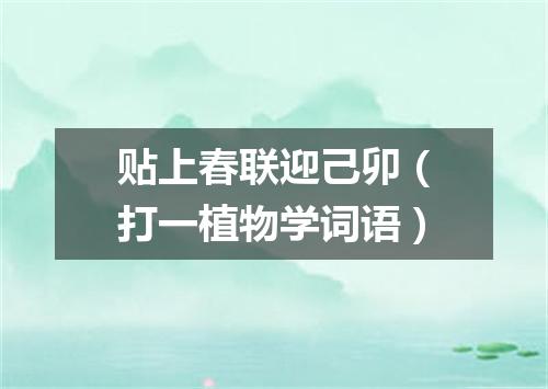 贴上春联迎己卯（打一植物学词语）