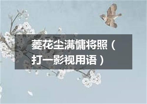 菱花尘满慵将照（打一影视用语）