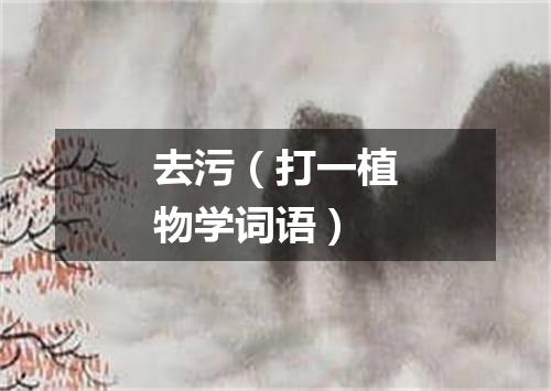 去污（打一植物学词语）