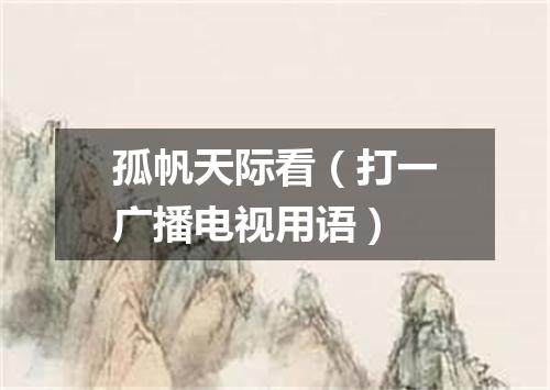 孤帆天际看（打一广播电视用语）