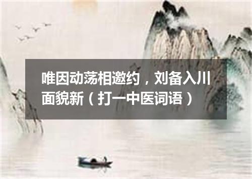 唯因动荡相邀约，刘备入川面貌新（打一中医词语）