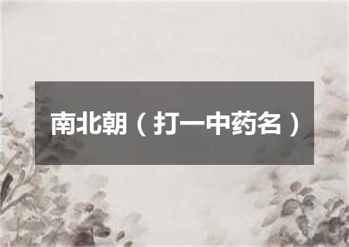 南北朝（打一中药名）