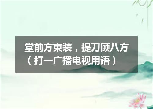 堂前方束装，提刀顾八方（打一广播电视用语）