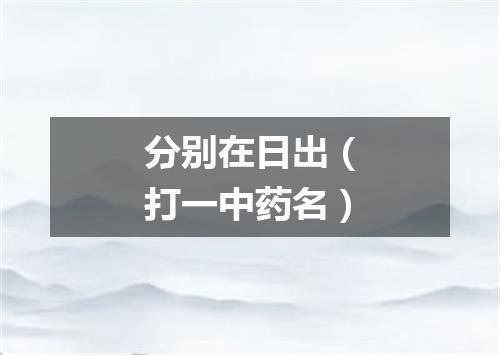 分别在日出（打一中药名）