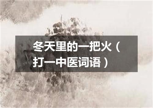 冬天里的一把火（打一中医词语）