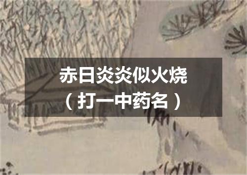 赤日炎炎似火烧（打一中药名）
