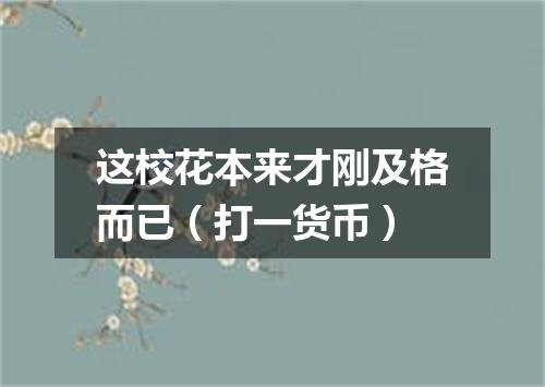 这校花本来才刚及格而已（打一货币）