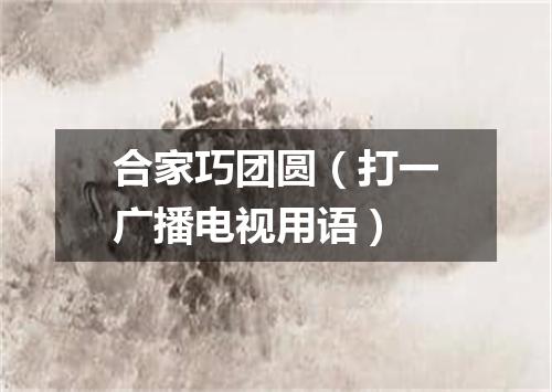 合家巧团圆（打一广播电视用语）