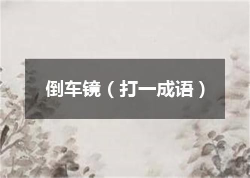 倒车镜（打一成语）