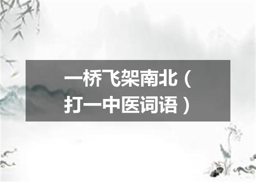 一桥飞架南北（打一中医词语）