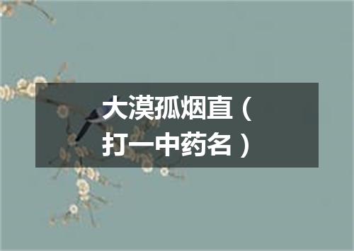 大漠孤烟直（打一中药名）