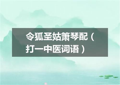 令狐圣姑箫琴配（打一中医词语）