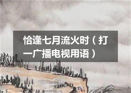 恰逢七月流火时（打一广播电视用语）