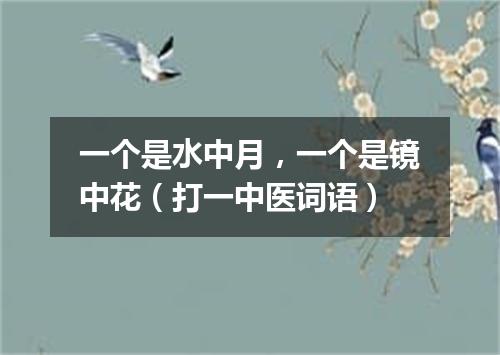 一个是水中月，一个是镜中花（打一中医词语）