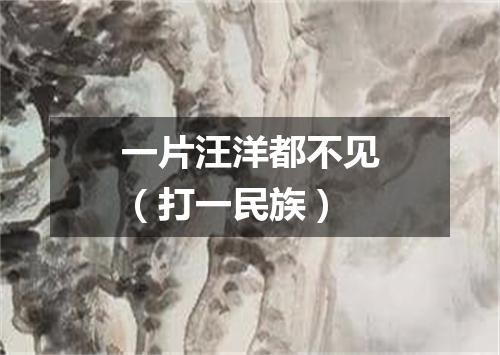 一片汪洋都不见（打一民族）