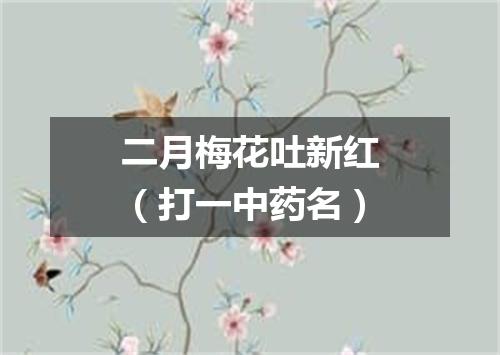 二月梅花吐新红（打一中药名）