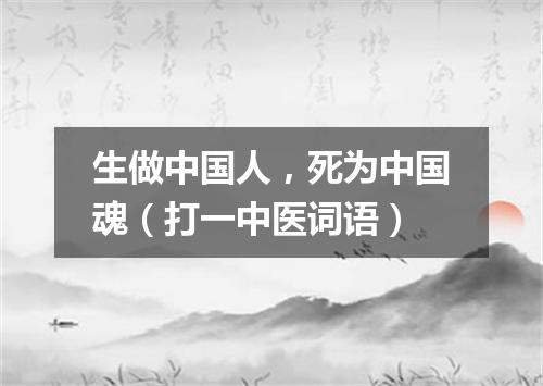 生做中国人，死为中国魂（打一中医词语）