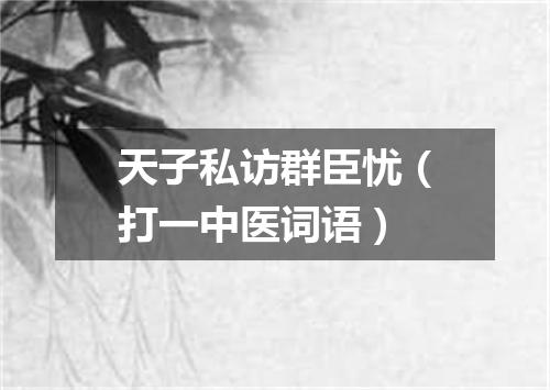 天子私访群臣忧（打一中医词语）