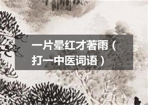 一片晕红才著雨（打一中医词语）