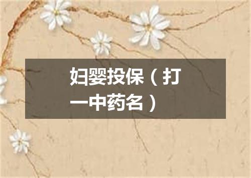 妇婴投保（打一中药名）