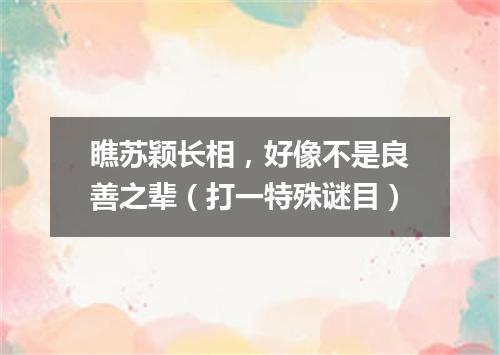 瞧苏颖长相，好像不是良善之辈（打一特殊谜目）