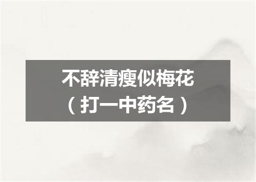不辞清瘦似梅花（打一中药名）