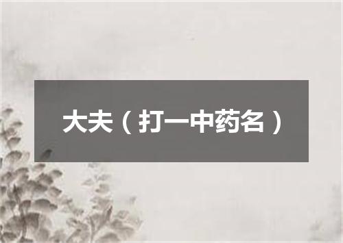 大夫（打一中药名）