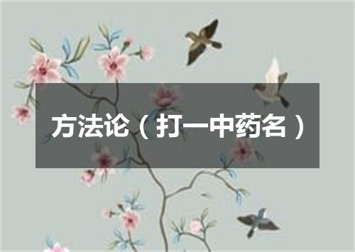 方法论（打一中药名）