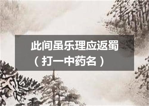 此间虽乐理应返蜀（打一中药名）
