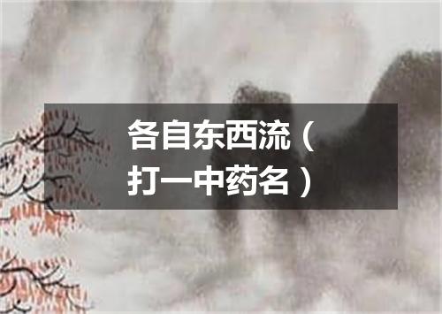 各自东西流（打一中药名）