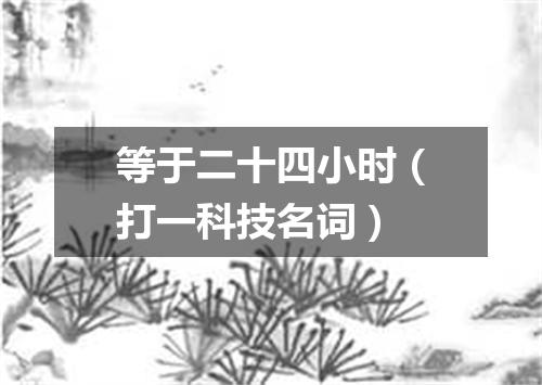 等于二十四小时（打一科技名词）