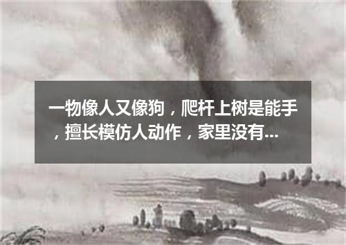 一物像人又像狗，爬杆上树是能手，擅长模仿人动作，家里没有山里有。（打一动物）