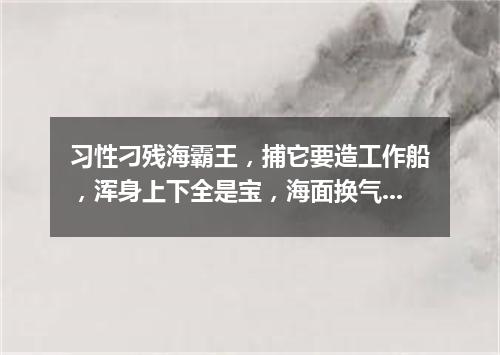 习性刁残海霸王，捕它要造工作船，浑身上下全是宝，海面换气喷银泉。（打一动物）