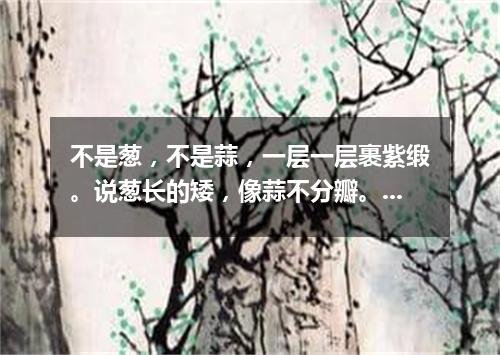 不是葱，不是蒜，一层一层裹紫缎。说葱长的矮，像蒜不分瓣。（打一蔬菜）