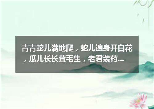 青青蛇儿满地爬，蛇儿遍身开白花，瓜儿长长茸毛生，老君装药要用它。（打一植物）
