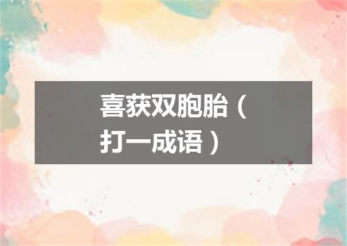 喜获双胞胎（打一成语）