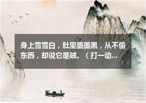 身上雪雪白，肚里墨墨黑，从不偷东西，却说它是贼。（打一动物）