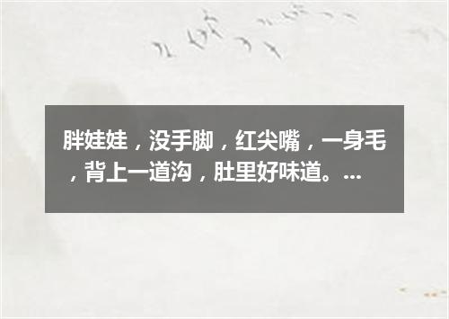 胖娃娃，没手脚，红尖嘴，一身毛，背上一道沟，肚里好味道。（打一水果）