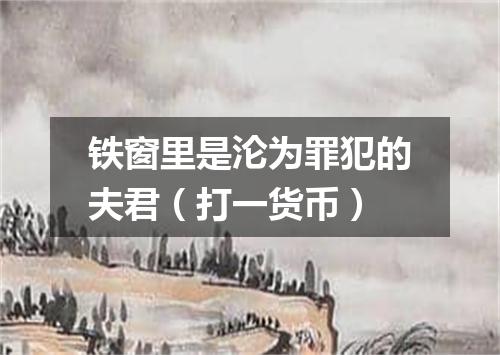 铁窗里是沦为罪犯的夫君（打一货币）