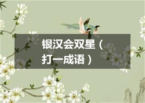 银汉会双星（打一成语）